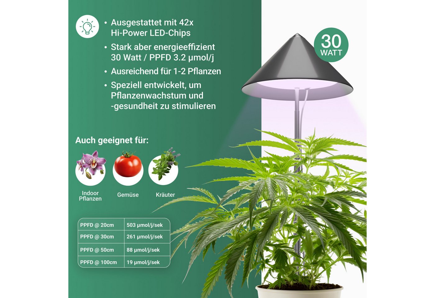 PARUS Pflanzenlampe CANNA, Leuchtmittel für Pflanzen, Teleskopstab 1,7m, Parus by Venso SUNLiTE XL LED Vollspektrum Pflanzenlampe Grau 25W Indo – Bild 3 von 5