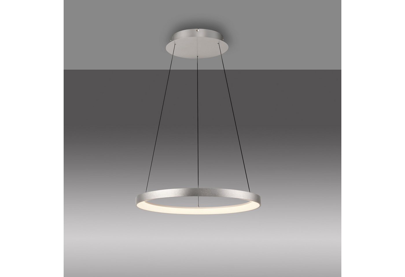 Paul Neuhaus Pendelleuchte HOOP, Dimmfunktion, LED fest integriert, Warmweiß, LED, dimmbar, Simply Dim, Memory, nach Trennung vom Netz, Comfort Lift – Bild 3 von 4