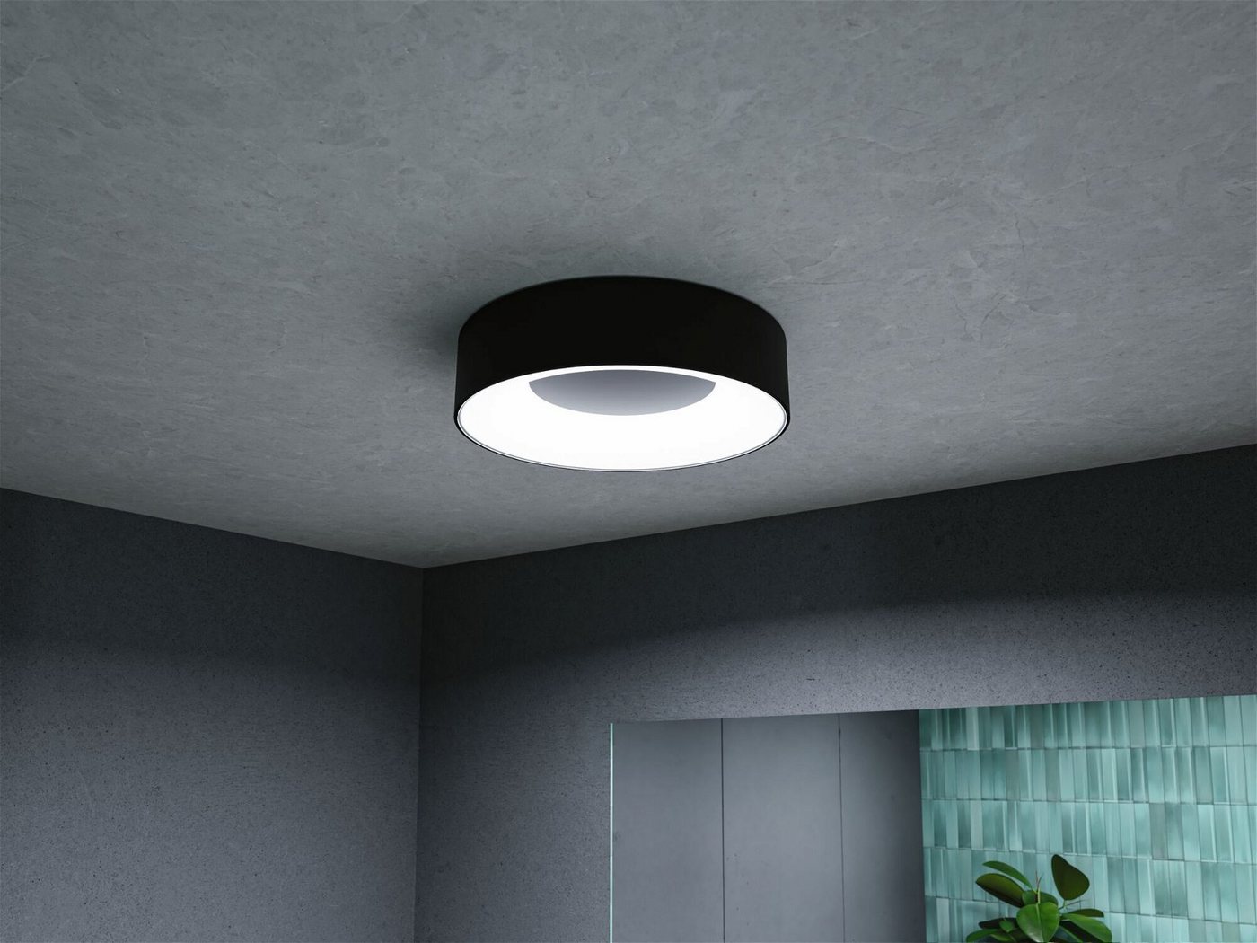 Paulmann LED Deckenleuchte Selection Bathroom Casca IP44 1x16W 300mm, 230V Metall/Kunststoff, LED fest integriert, Tageslichtweiß, WhiteSwitch – Bild 2 von 5