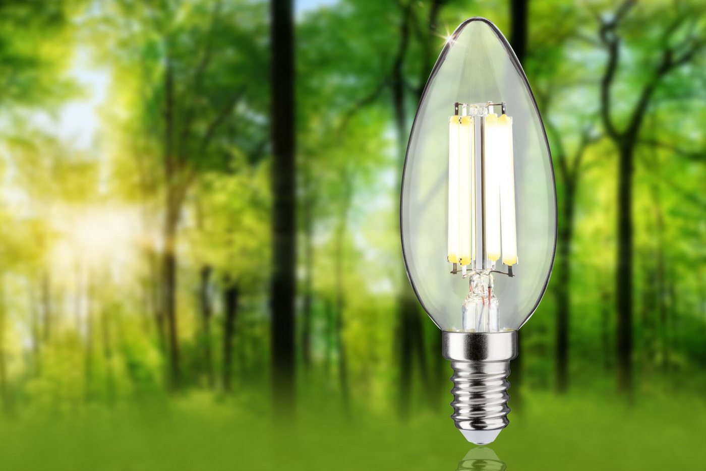 Paulmann LED-Leuchtmittel Efficient-Line Filament 230V LED Kerze E14 1 St. 525lm 2,5W 4000K Klar, E14, 1 St., Neutralweiß – Bild 2 von 5