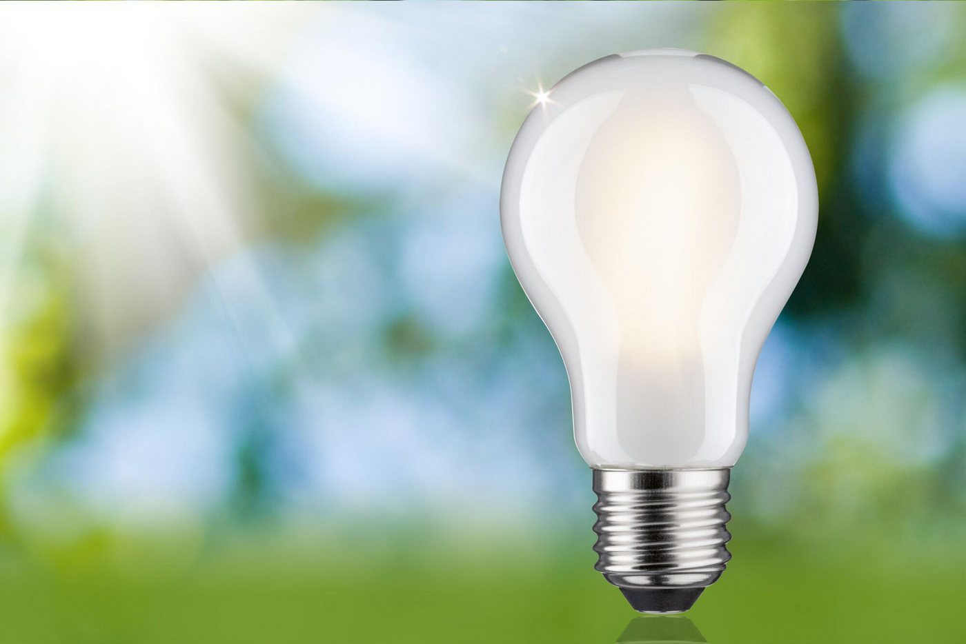 Paulmann LED-Leuchtmittel Efficient-Line Filament 230V LED Birne E27 470lm 2,5W 3000K dimmb.Matt, E27, 1 St., Warmweiß – Bild 3 von 5