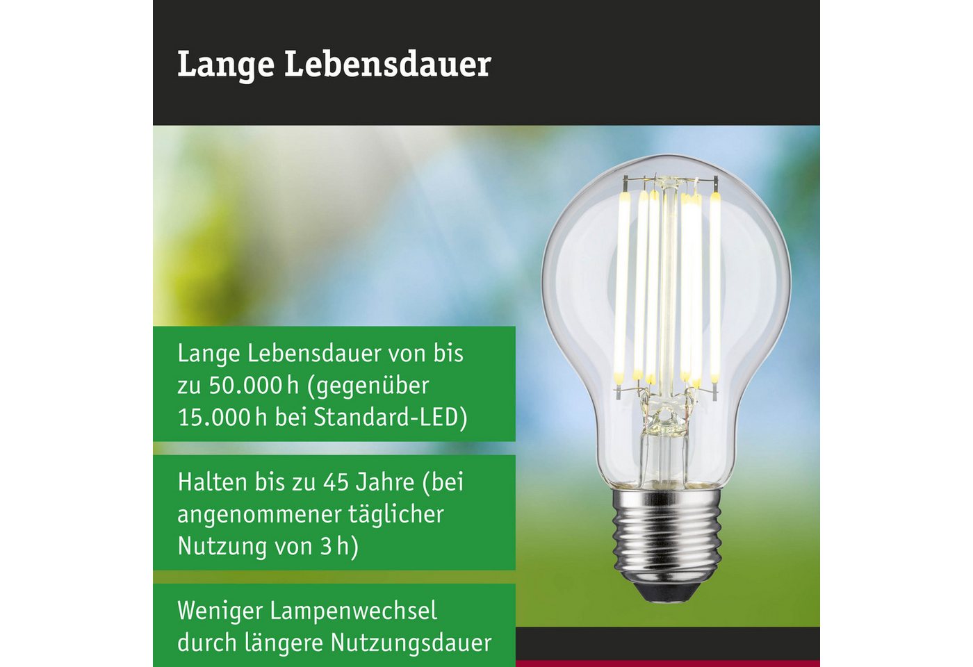Paulmann LED-Leuchtmittel Efficient-Line Filament 230V LED Birne E27 1 St. 1055lm 5W 4000K Klar, E27, 1 St., Neutralweiß – Bild 5 von 5