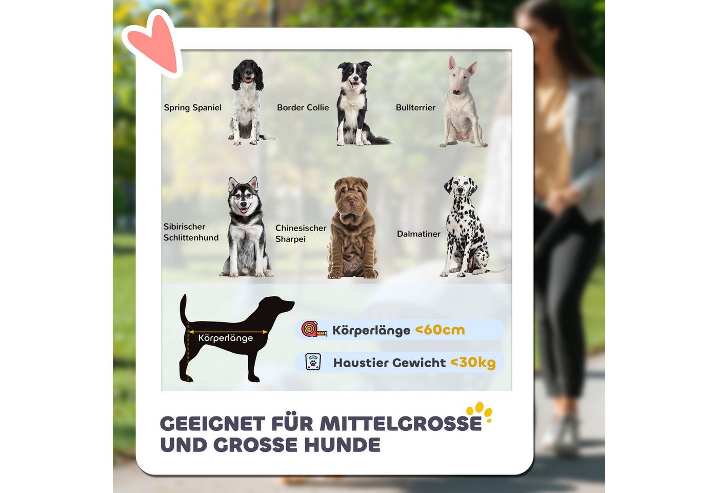 PawHut Hundebuggy Hundetrolley, Katzenbuggy mit Netzfenster und Sicherheitsleinen, (Hundewagen, 1-tlg), für große und mittelgroße Hunde, Oxfordstoff, Dunkelgrau – Bild 4 von 5