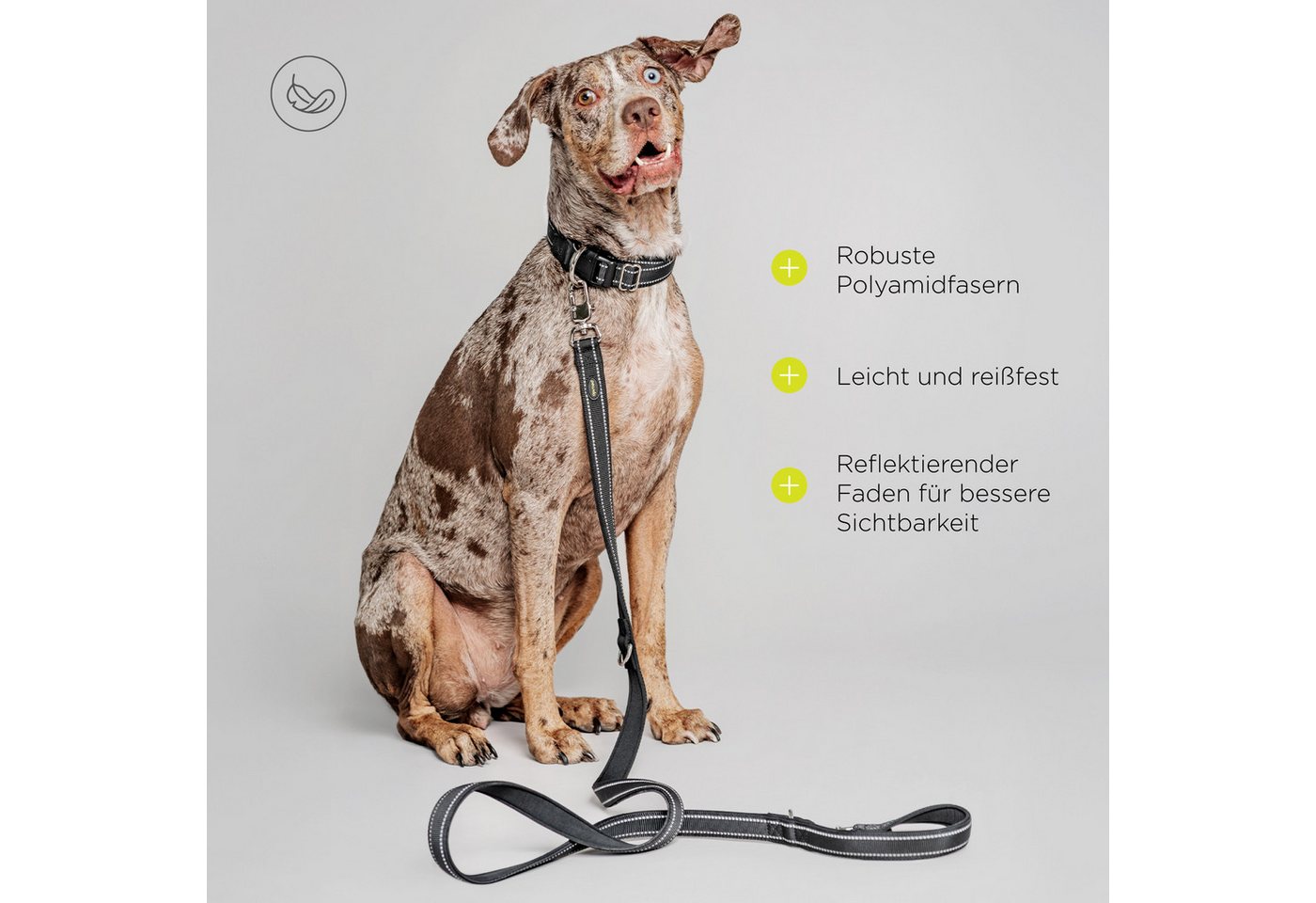 Peluvio Hundeleine AMIGO, (Set), Nylon/verstellbar/reflektierend/2,2 m – Bild 2 von 5