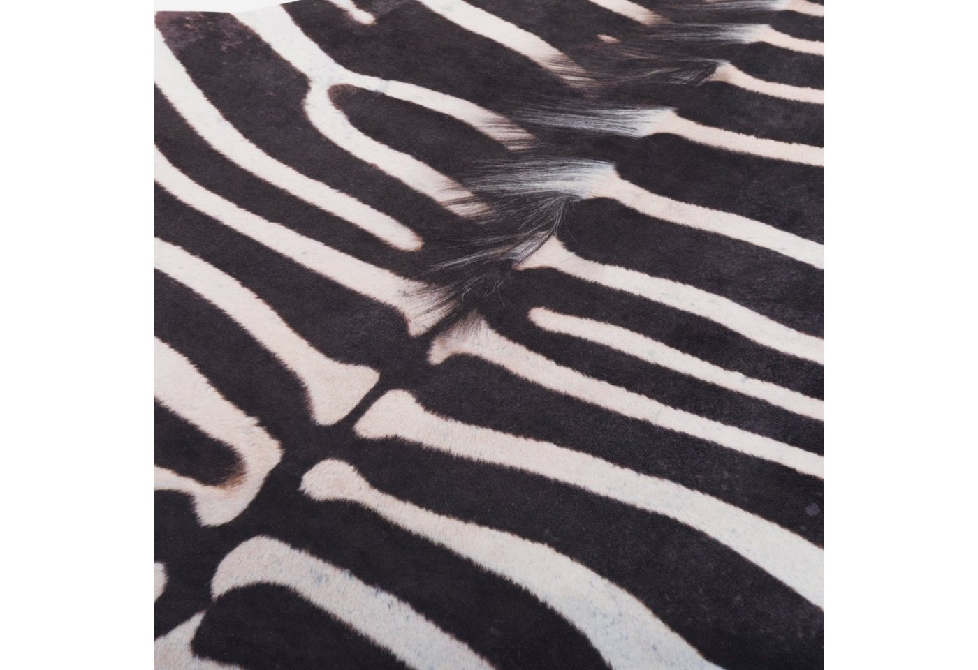 Pergamon Designteppich Kunstfaser Teppich Zebra, Rechteckig, Höhe: 7 mm – Bild 3 von 5