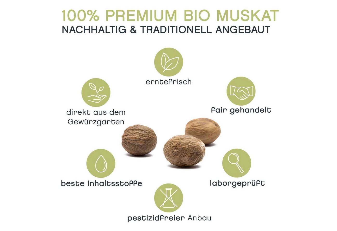 Pfefferdieb Gewürz Muskatnuss ganz, BIO, 10 Stück – Bild 3 von 5