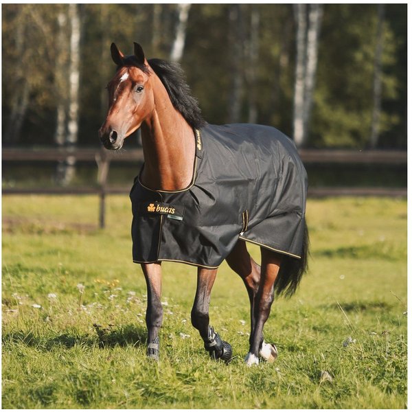 Bucas Pferde-Thermodecke Bucas Irish Turnout 100g