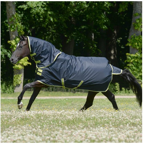 Bucas Pferde-Thermodecke Bucas Oasis Turnout 200g mit Halsteil