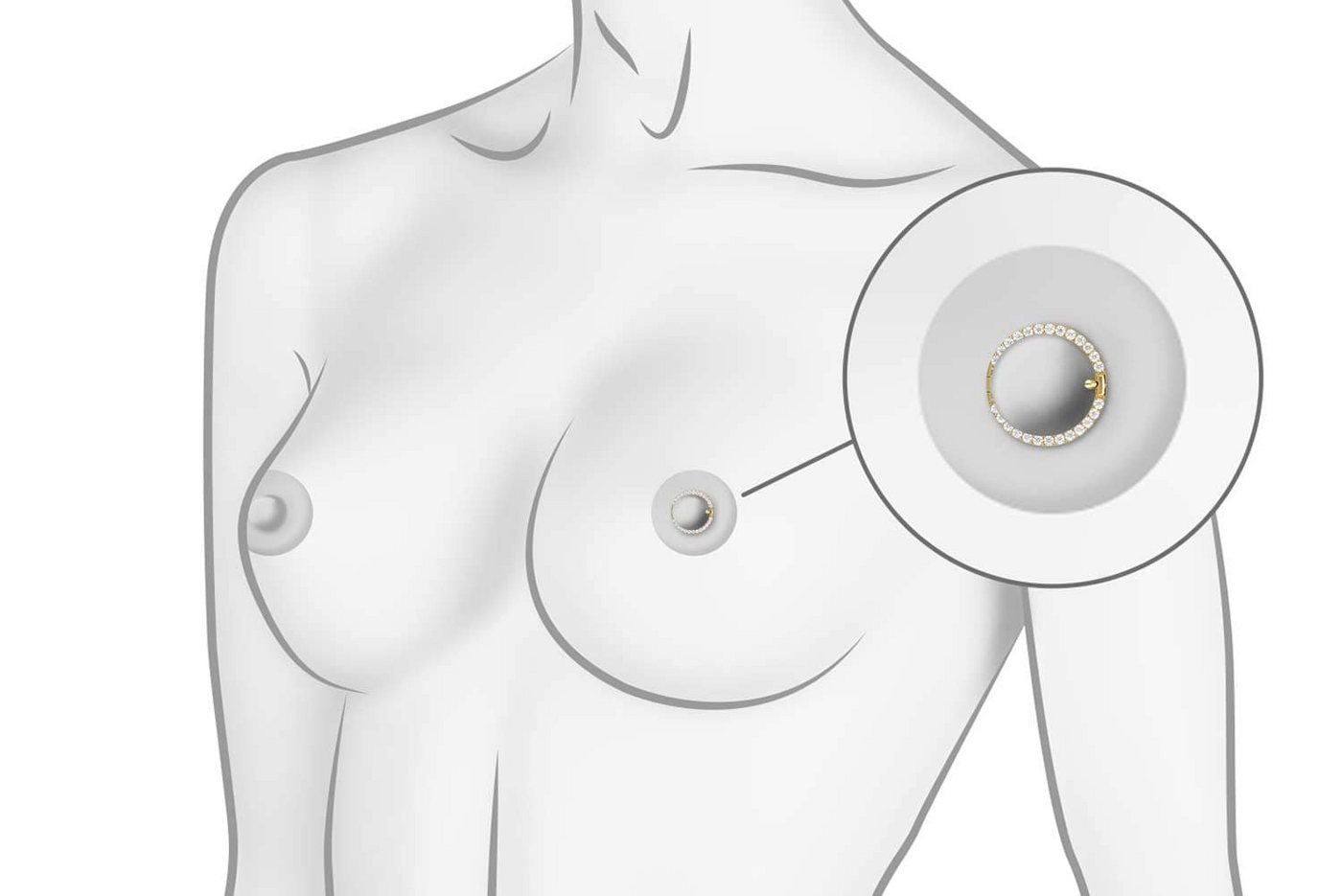 PIERCINGLINE Brustwarzenpiercing Titan Nippelpiercing Clicker RING + EINGEFASSTE KRISTALLE (Clicker, 1-tlg), Brust-, Nippel-Piercing, Titan – Bild 2 von 3