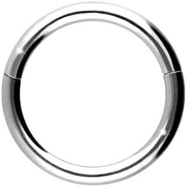 PIERCINGLINE Nasenpiercing Titan Segmentring Clicker Ohrpiercing Septum Nase (Clicker, 1-tlg), Ohrpiercing für Conch, Helix, Tragus, Daith, Lobe
