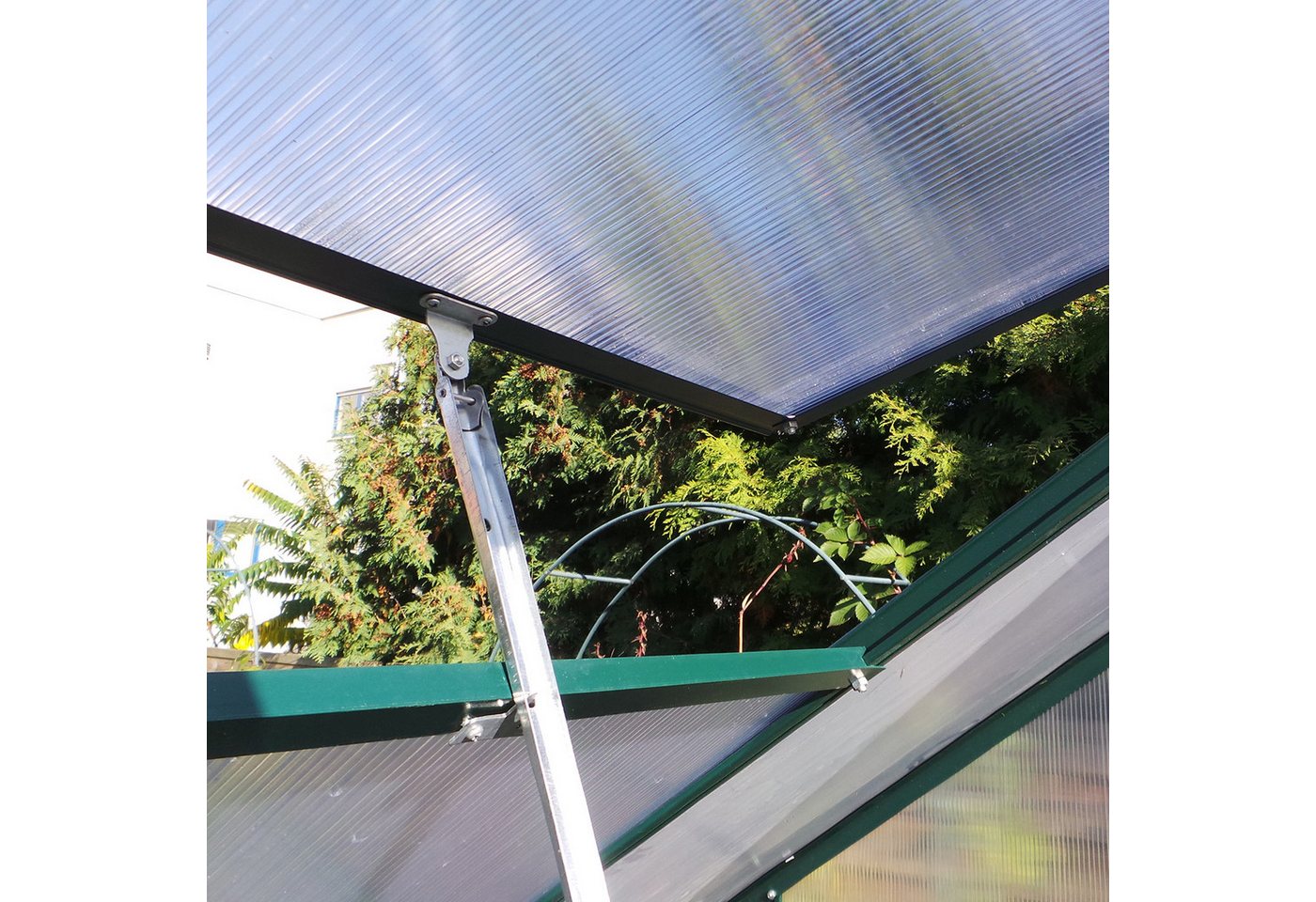 Plantiflex Gewächshaus mit Fundament, BxTxH: 250 x 310 x 205,00 cm, 6.00 mm Wandstärke, Aluminium - Garten Pflanzenhaus, Alu Treibhaus Tomatenhaus, inkl. Dachfe – Bild 2 von 5