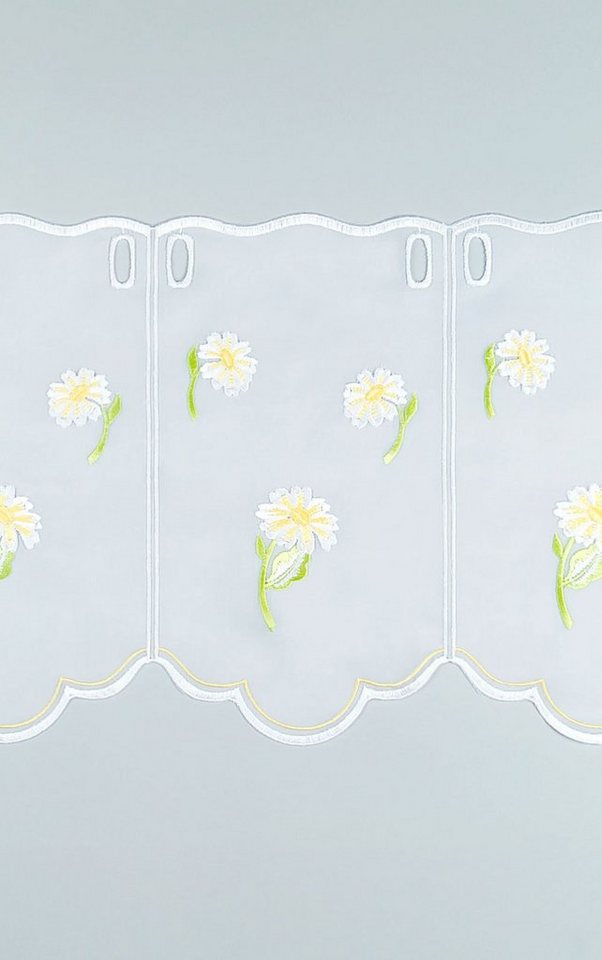 Plauener Spitze® Scheibengardine Margerite (1 St), transparent, HxB 30x48.9cm – Bild 5 von 5