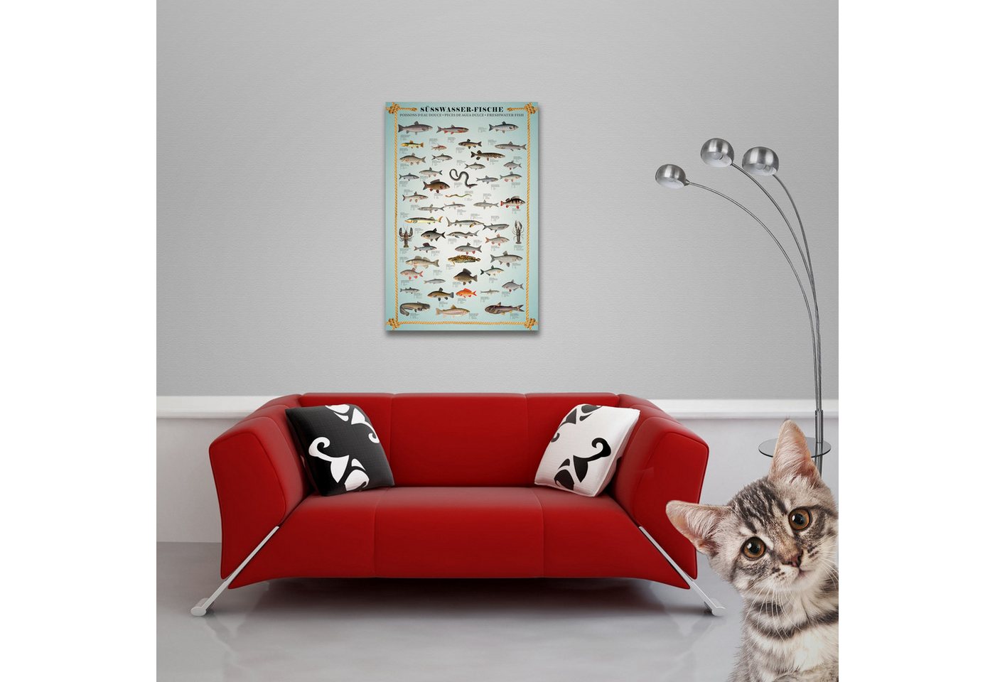 Poster Educational - Bildung - Poster - Süsswasserfische – Bild 2 von 5