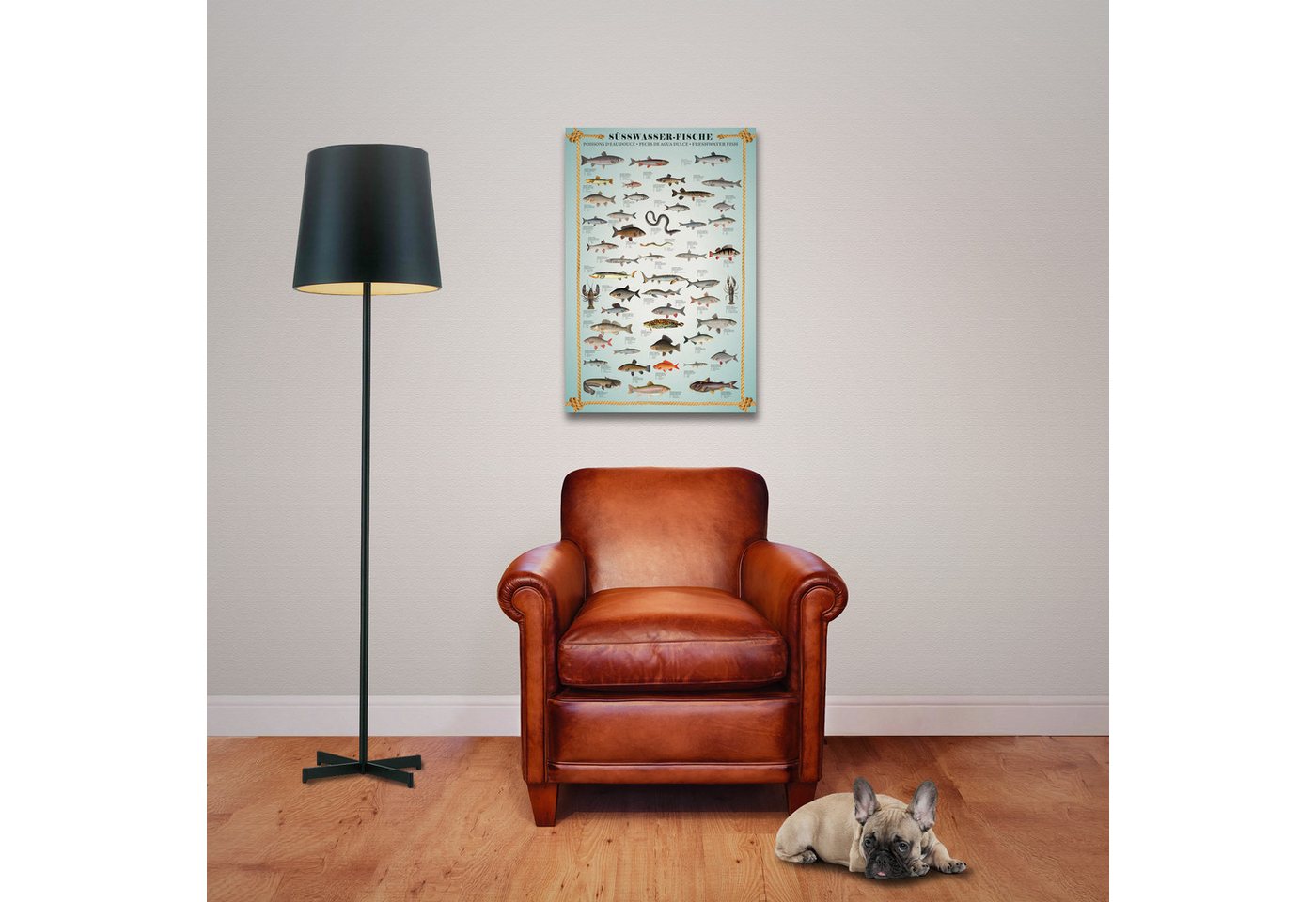 Poster Educational - Bildung - Poster - Süsswasserfische – Bild 3 von 5