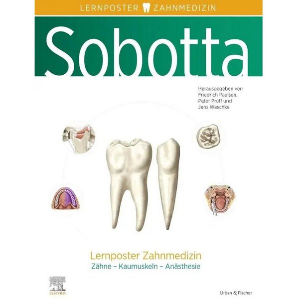 Poster Sobotta Lernposter Zahnmedizin