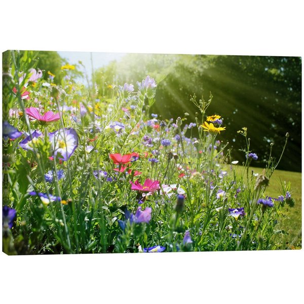 Posterlounge Wandbild Auf einer sonnigen Wildblumenwiese, Lichtspielart, erhältlich als Poster, Leinwandbild, Wandsticker oder Acrylglasbild