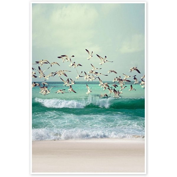 Posterlounge Wandbild Möwen am Strand, Iconic Photo Collection, erhältlich als Poster, Leinwandbild, Wandsticker oder Acrylglasbild