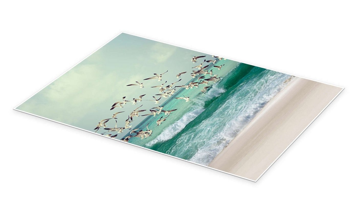Posterlounge Wandbild Möwen am Strand, Iconic Photo Collection, erhältlich als Poster, Leinwandbild, Wandsticker oder Acrylglasbild – Bild 2 von 5