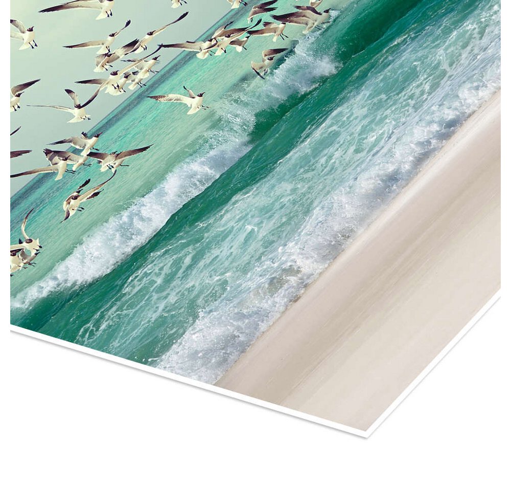 Posterlounge Wandbild Möwen am Strand, Iconic Photo Collection, erhältlich als Poster, Leinwandbild, Wandsticker oder Acrylglasbild – Bild 3 von 5