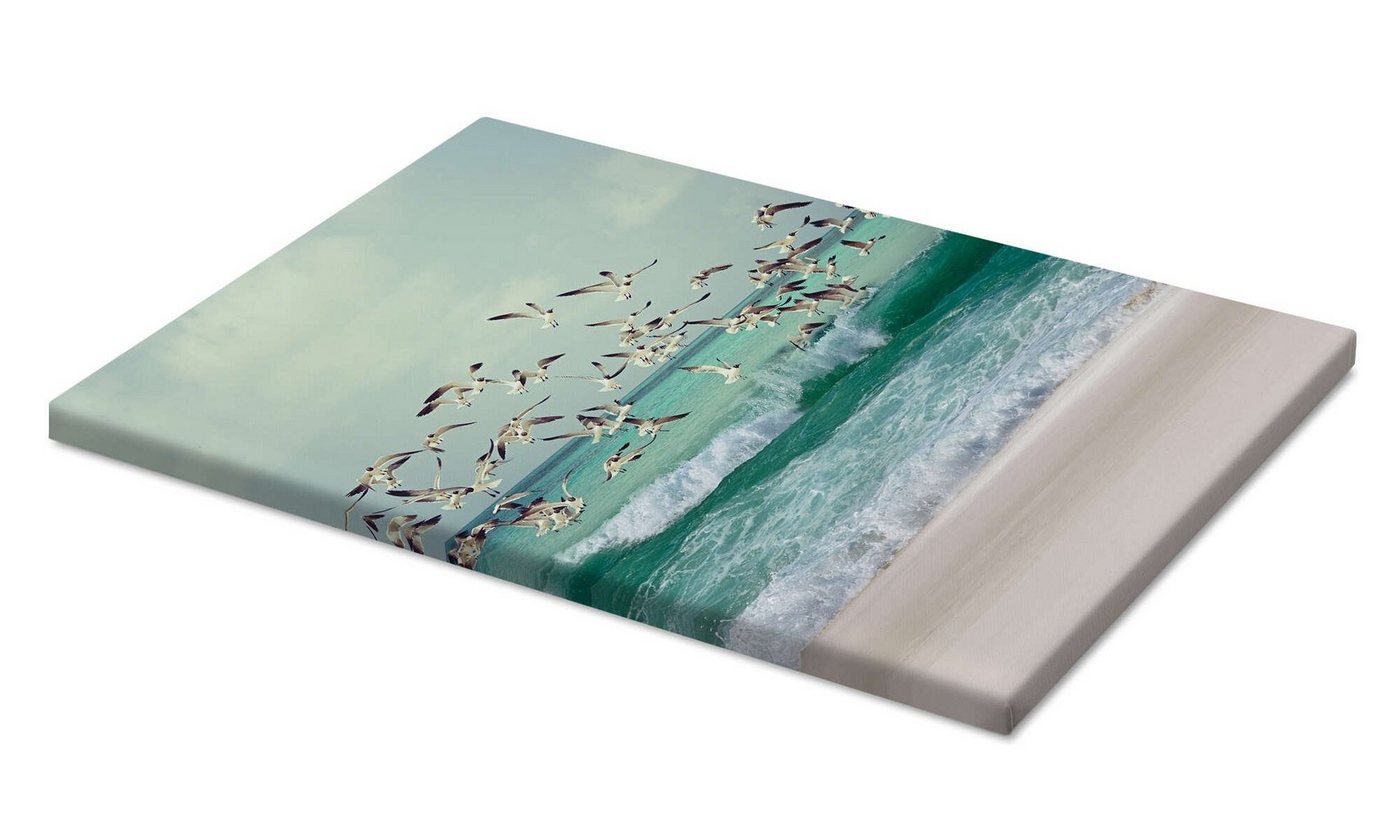Posterlounge Wandbild Möwen am Strand, Iconic Photo Collection, erhältlich als Poster, Leinwandbild, Wandsticker oder Acrylglasbild – Bild 2 von 5