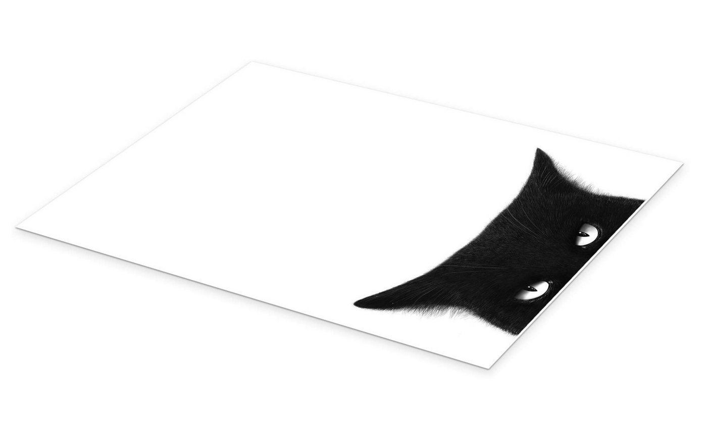 Posterlounge Wandbild Wütende schwarze Katze, Valeriya Korenkova, erhältlich als Poster, Leinwandbild, Wandsticker oder Acrylglasbild – Bild 2 von 5