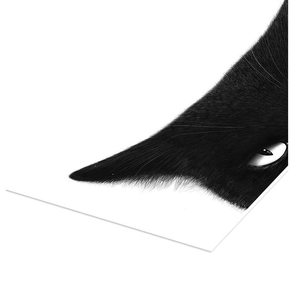 Posterlounge Wandbild Wütende schwarze Katze, Valeriya Korenkova, erhältlich als Poster, Leinwandbild, Wandsticker oder Acrylglasbild – Bild 3 von 5