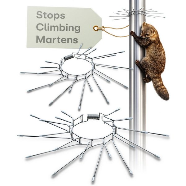 Praknu Marder-Schutzgitter Marderschutz Fallrohr 2er Set Edelstahl-Spikes verstellbar 100mm, 2er Set in Box, 2er Set in Box: 20 Spikes + 2 Federn + Schutzkappen