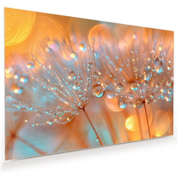 Primedeco Glasbild Wandbild Pusteblumen Tropfen mit Aufhängung, Blumen & Pflanzen (21 verschiedene Größen, 1 St), Elegante Aufhängung