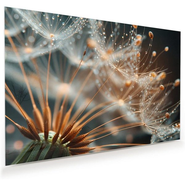 Primedeco Glasbild Wandbild Pusteblumenperlen mit Aufhängung, Blumen & Pflanzen (21 verschiedene Größen, 1 St), Elegante Aufhängung