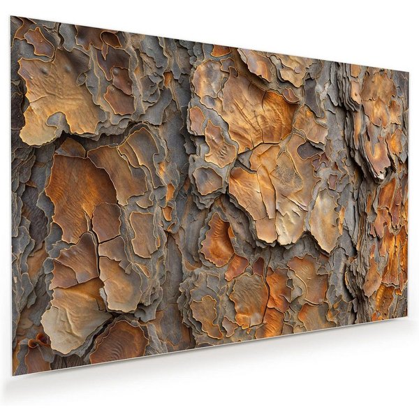 Primedeco Glasbild Wandbild Rinde Struktur Formen mit Aufhängung, Texturen (21 verschiedene Größen, 1 St), Elegante Aufhängung