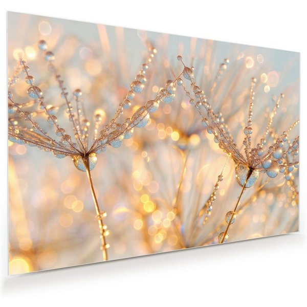 Primedeco Glasbild Wandbild Tautropfen Panorama mit Aufhängung, Blumen & Pflanzen (21 verschiedene Größen, 1 St), Elegante Aufhängung