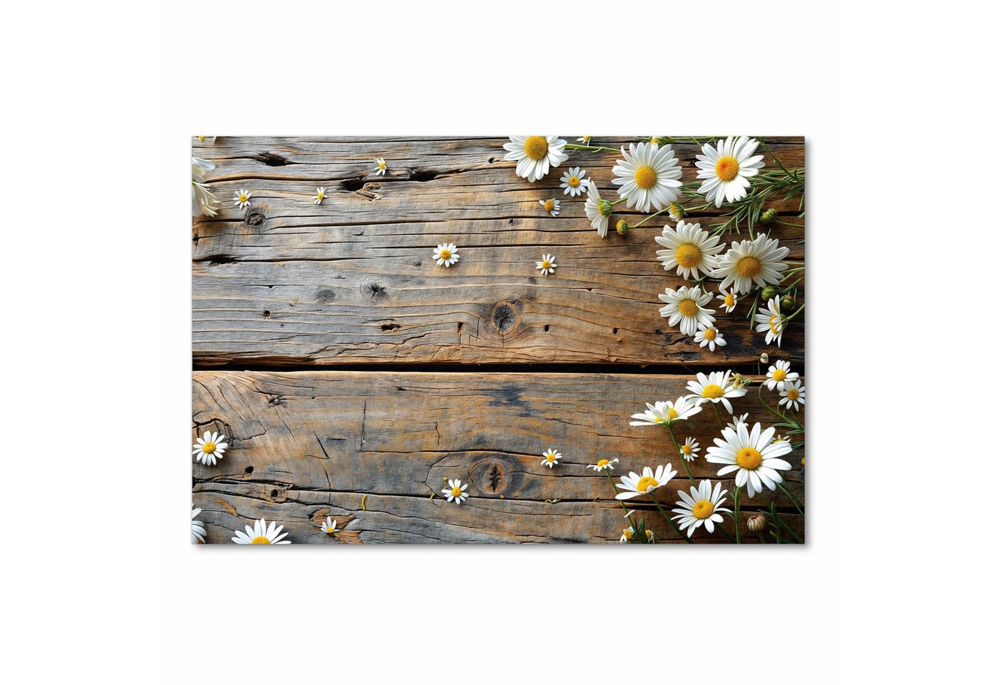 Primedeco Küchenläufer Küchenteppich Gänseblümchen auf Holz, Rechteckig, Höhe: 3 mm, rutschfest, waschbar & pflegeleicht – Bild 2 von 5
