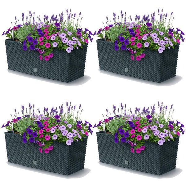 Prosperplast Blumenkasten Rato Case (4 St., 4er-Set), Bewässerungssystem, Rattanoptik, eckig