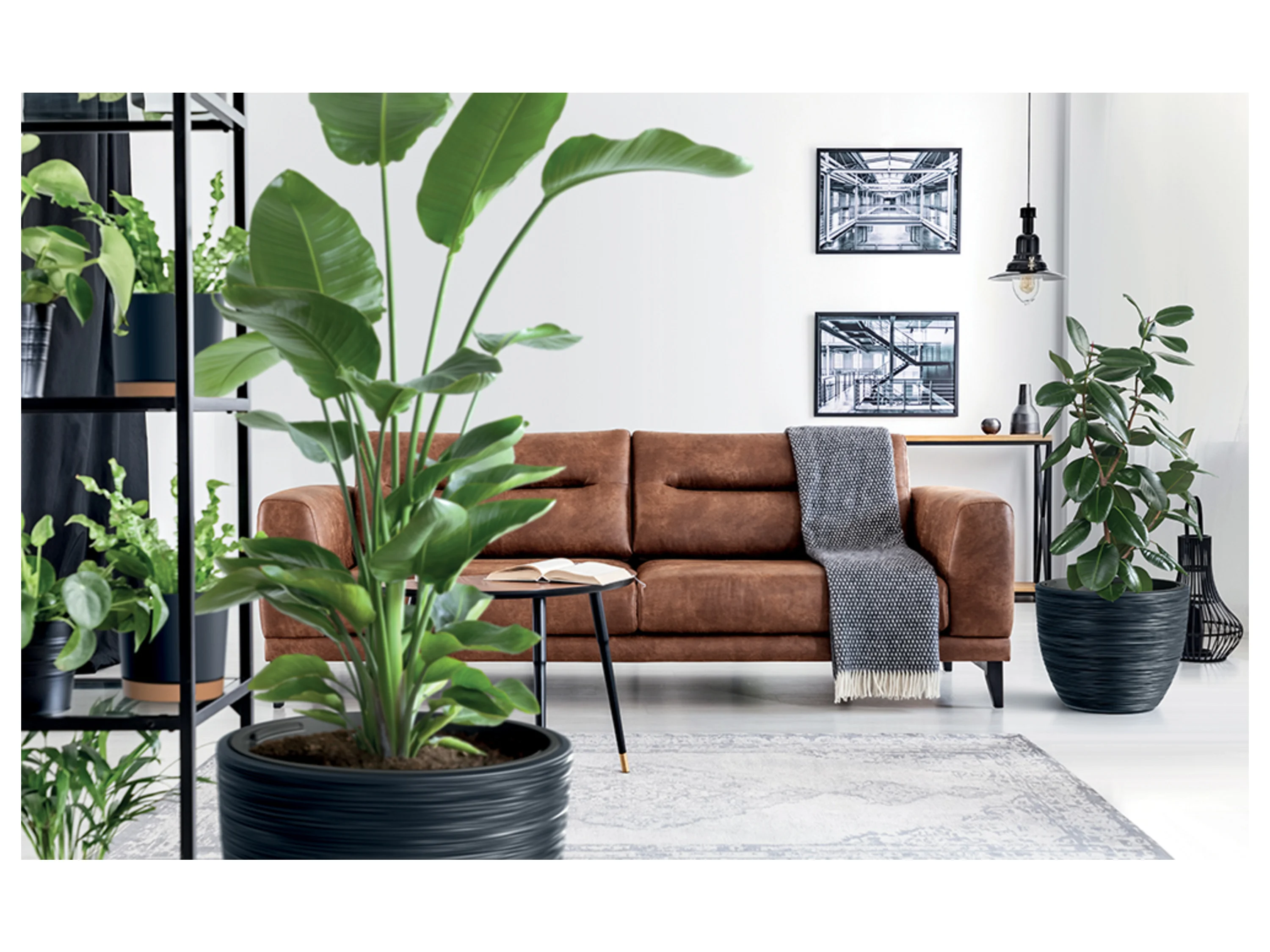 PROSPERPLAST Blumentopf FURU (Anthrazit, 385x470) – Bild 2 von 2