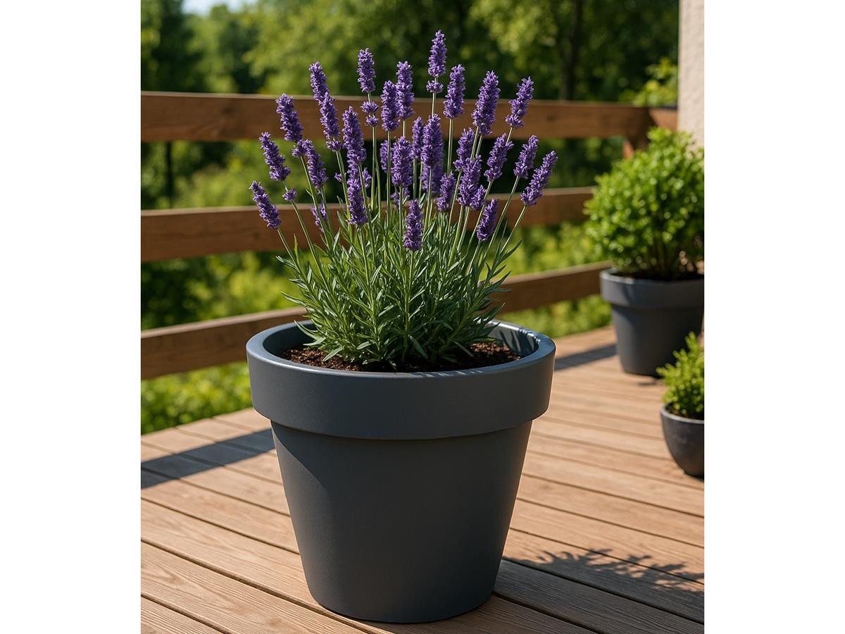 Prosperplast Blumentopf Lofly (DLOF600N, Durchmesser 58,2 cm), Wetterfest & UV-beständig – Bild 3 von 5