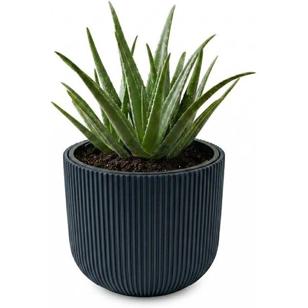 Prosperplast Blumentopf Milly, inkl. Pflanzeinsatz, 29,8 x 25,7 cm