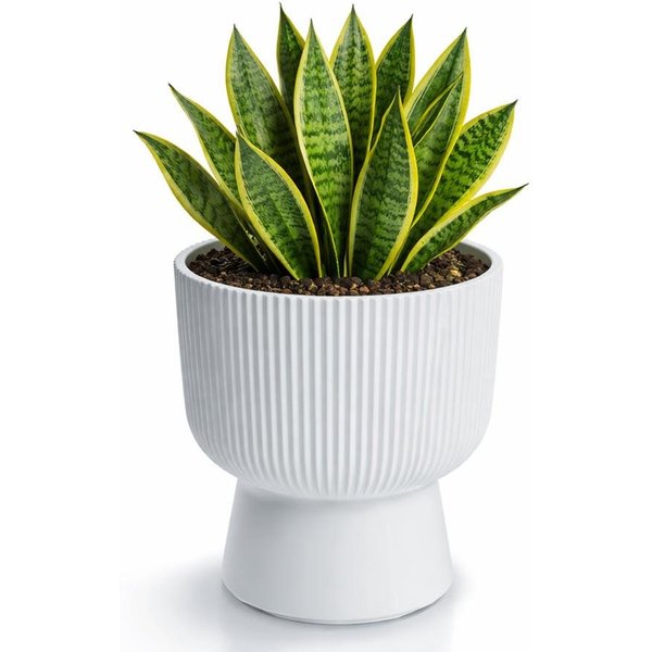 Prosperplast Blumentopf Milly Round, inkl. Pflanzeinsatz, 23,9 x 30,5 cm