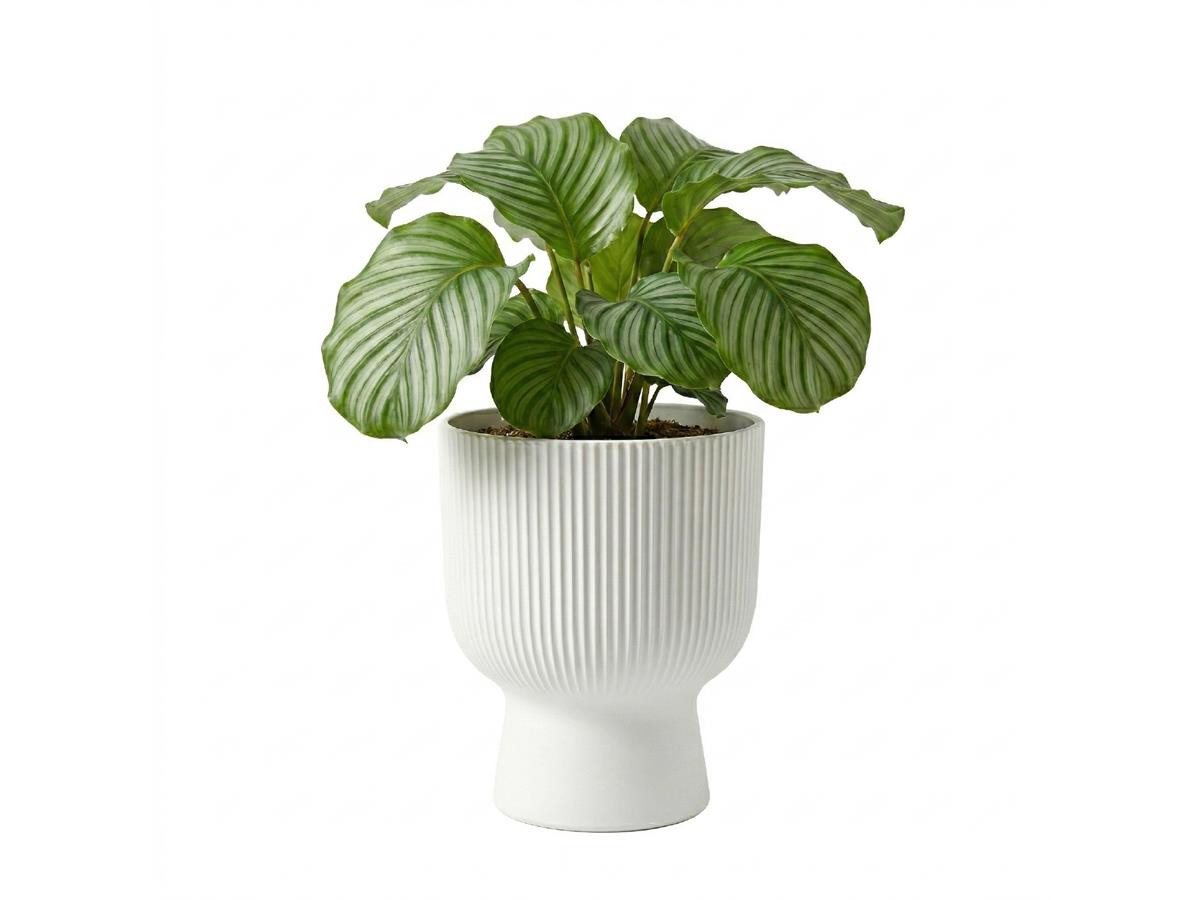Prosperplast Blumentopf Milly Round, inkl. Pflanzeinsatz, 23,9 x 30,5 cm – Bild 2 von 4