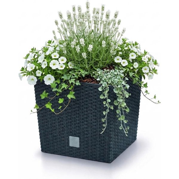 Prosperplast Blumentopf Rato Low (40,8 cm, inkl. Einsatz), ideal für den Innen- und Außenbereich