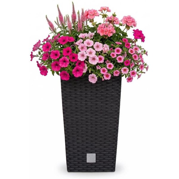 Prosperplast Blumentopf Rato Square, mit Einsatz, 32,5 x 32,5 x 61 cm, anthrazit, wetterfest & UV-beständig