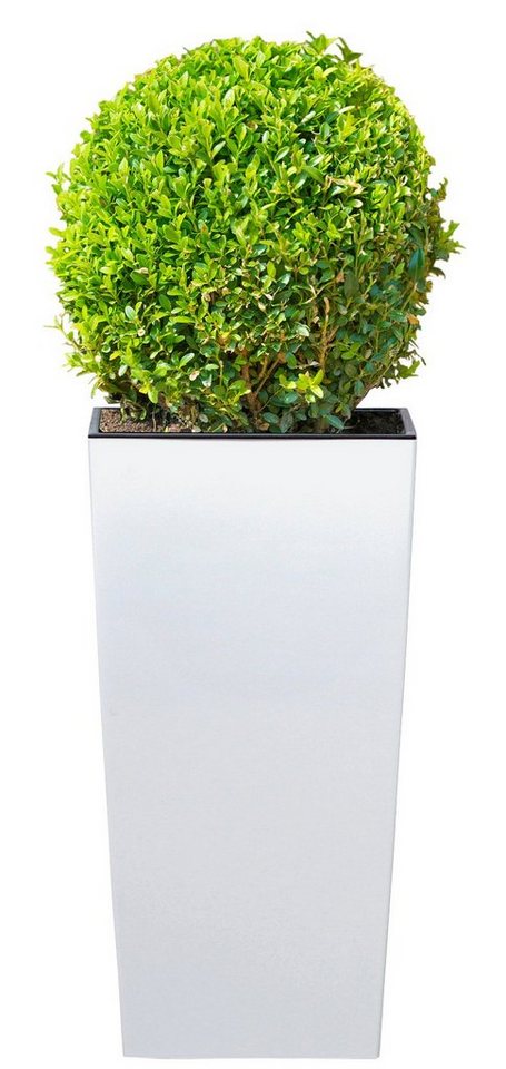 Prosperplast Blumentopf Urbi Square 325, BxTxH: 33x33x61 cm – Bild 2 von 2