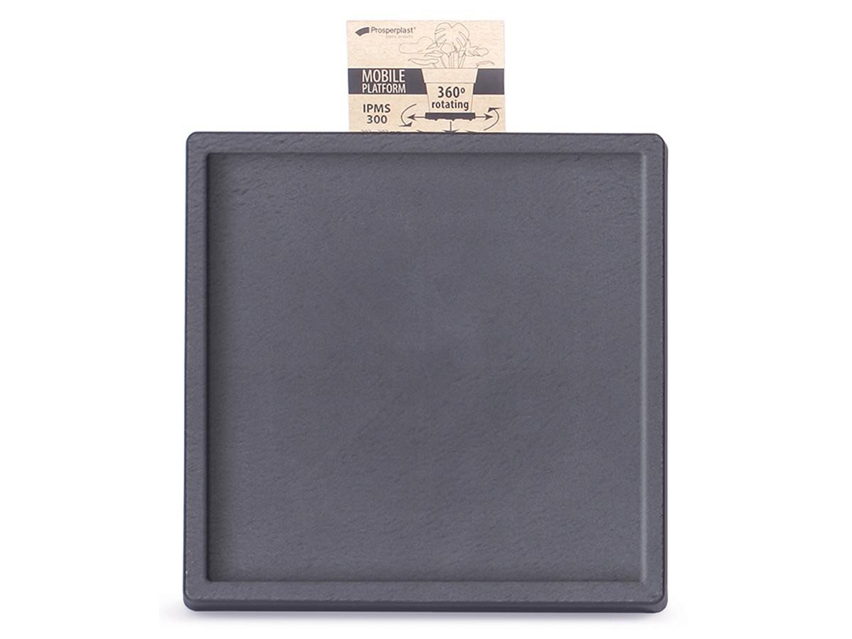 Prosperplast Blumentopfuntersetzer Mobile Plattform für Blumentopf, Zubehör für Quadratische Blumentöpfe, 29,2 x 29,2 x 5,7 cm, 360-Grad Räder – Bild 2 von 5