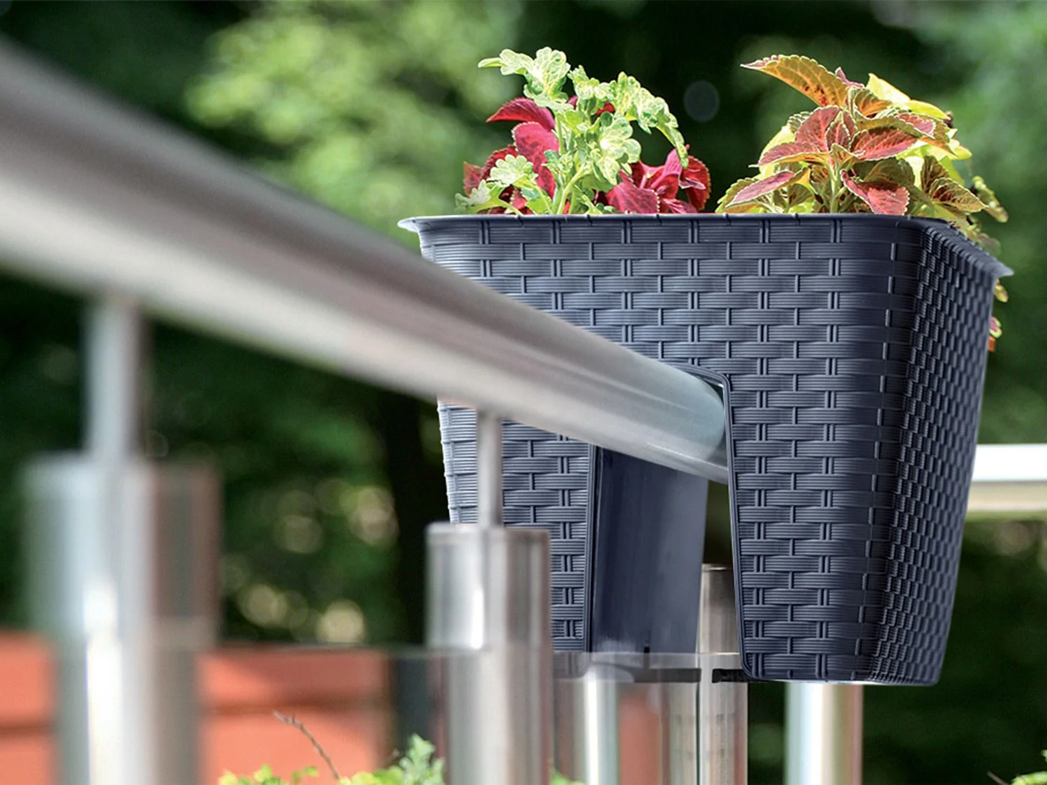 PROSPERPLAST Geländertopf Ratolla Railing 3-er Set (Quadratisch, Anthrazit, 272x272x225 mm) – Bild 3 von 3