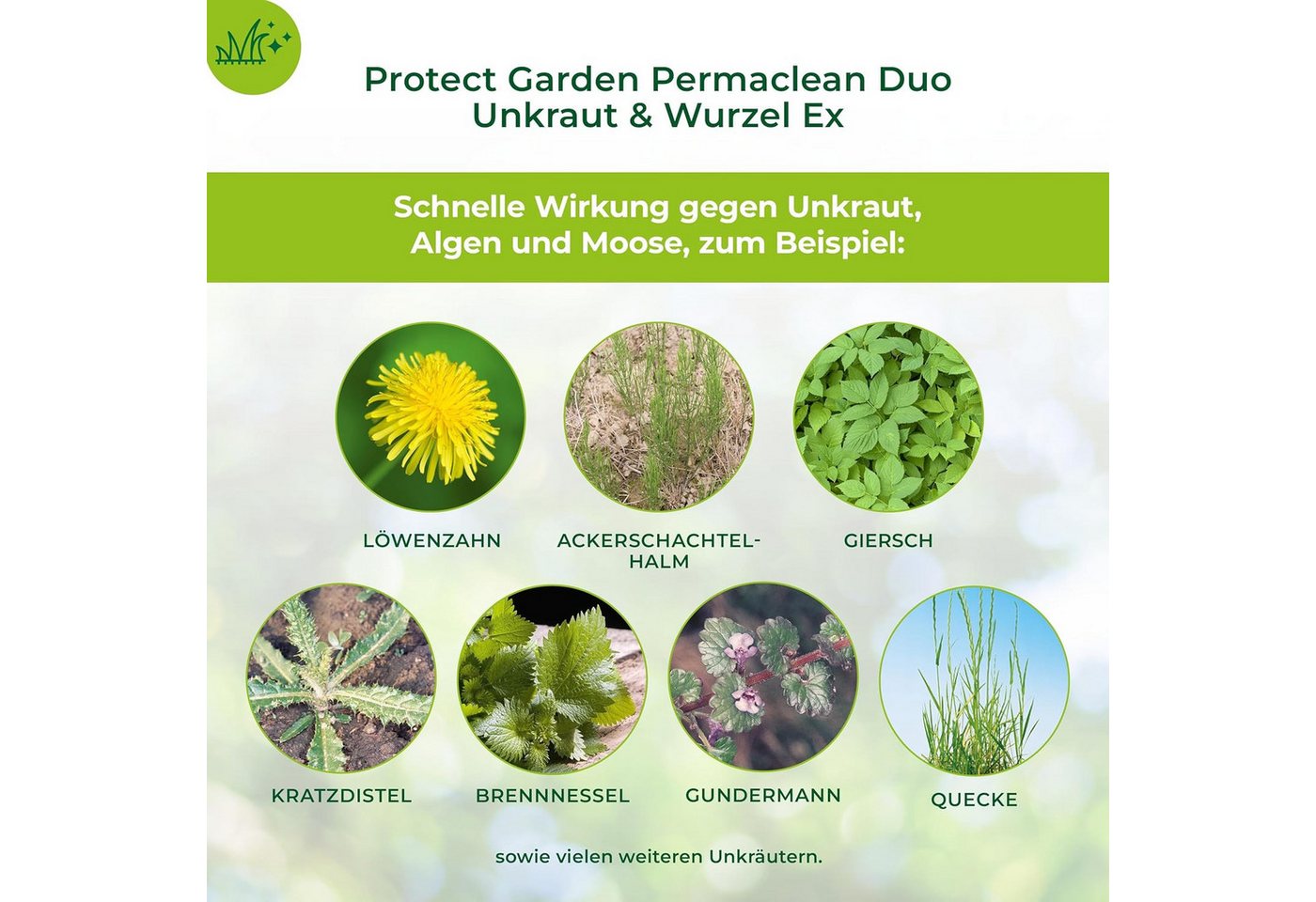 Protect Garden Unkrautbekämpfungsmittel Permaclean Duo Unkraut & Wurzel-Ex 1l, 1000 ml, Blatt- und Wurzelwirkung – Bild 3 von 5