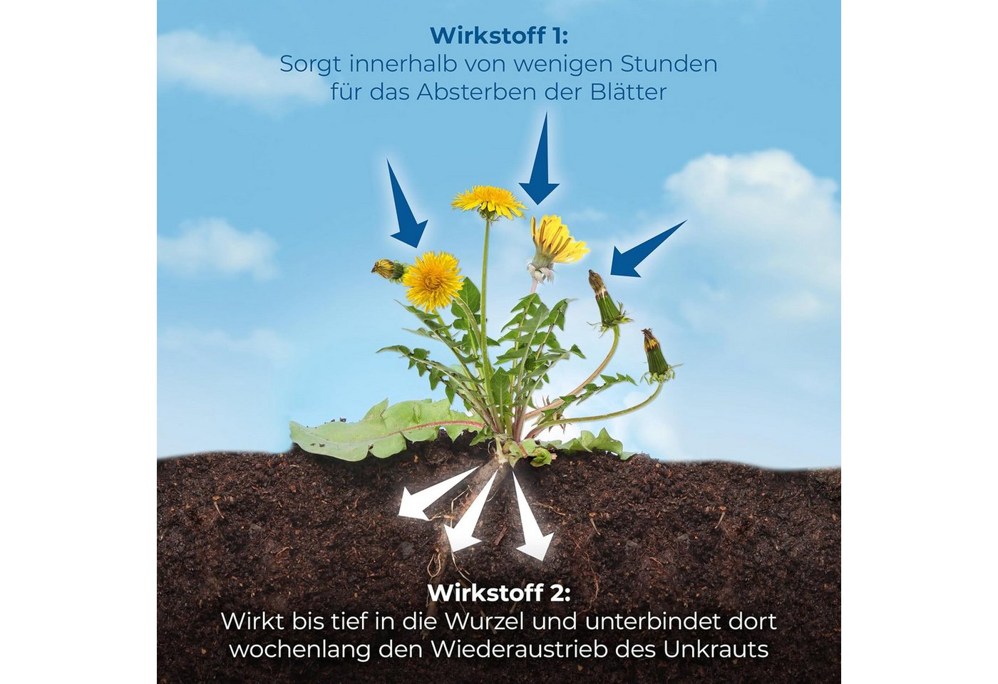 Protect Garden Unkrautbekämpfungsmittel Permaclean Duo Unkraut & Wurzel-Ex 1l, 1000 ml, Blatt- und Wurzelwirkung – Bild 4 von 5