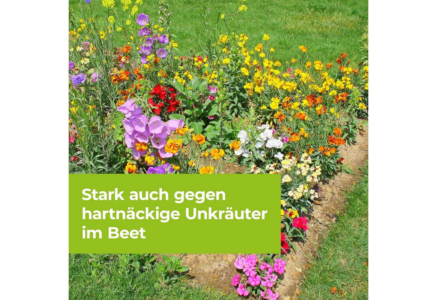 Protect Garden Unkrautbekämpfungsmittel Permaclean Duo Unkraut & Wurzel-Ex 1l, 1000 ml, Blatt- und Wurzelwirkung – Bild 5 von 5