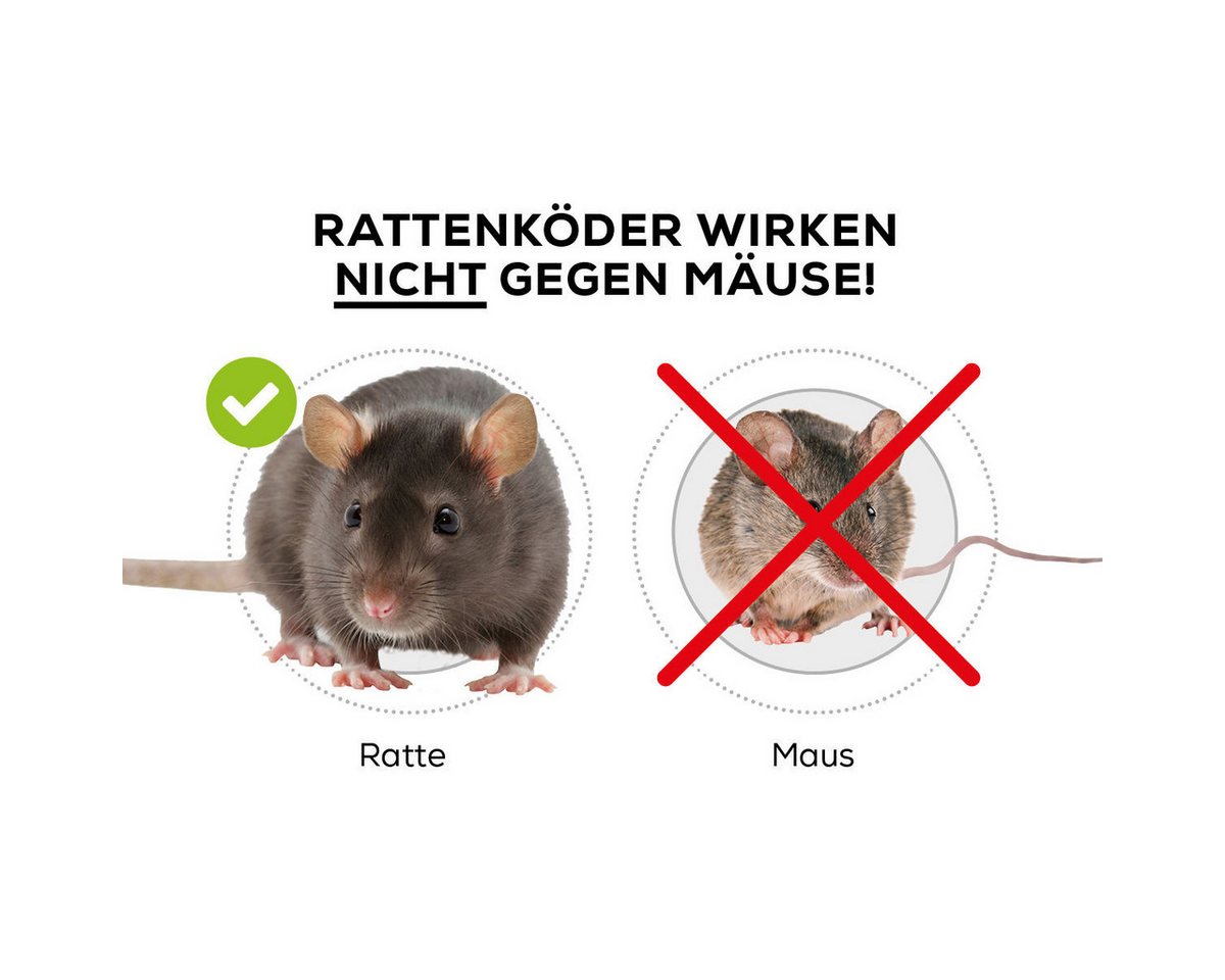 Protect Home Lebendfalle Ratten Köderbox – Bild 4 von 4