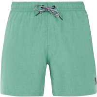 PROTEST Herren Badeshorts DAVEY beachshort, Größe S in Grün