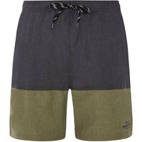 PROTEST Herren Badeshorts PRTFreddie, Größe L in Grau