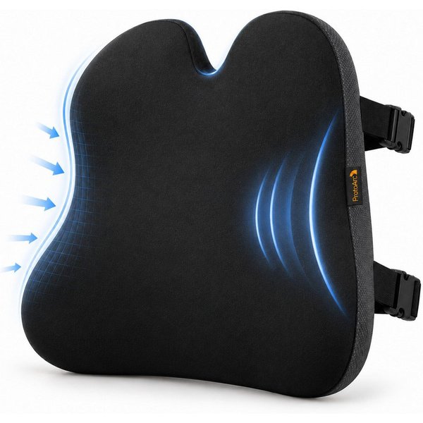 ProtoArc Lendenkissen Lendenkissen Memory Foam, Lordosenstütze, Einzelartike, atmungsaktiv, verstellbare Doppelriemen